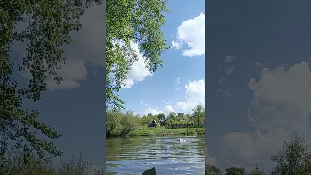 заплыв