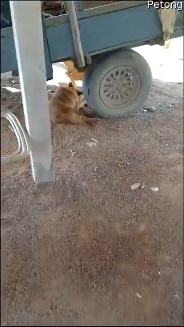Посмеемся (680)