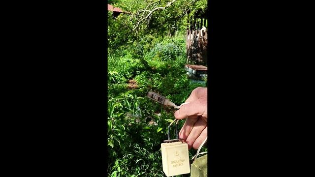 21.05.2025г. Сегодня на пасеке Подгорное. Нужна ли пчелам подсоленная вода....