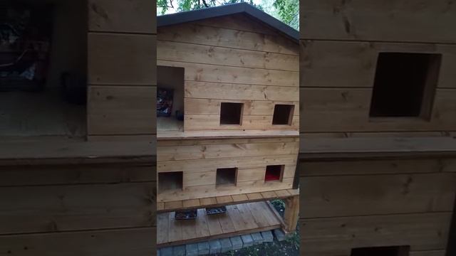 2025-05-23  Вот такой замечательный кошачий домик установили у нас во дворе.