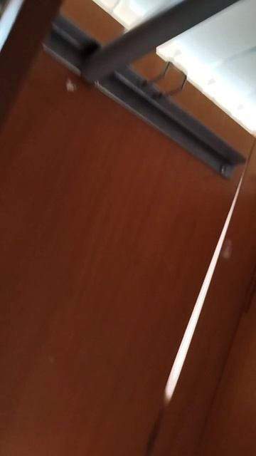scene_output.mp4
