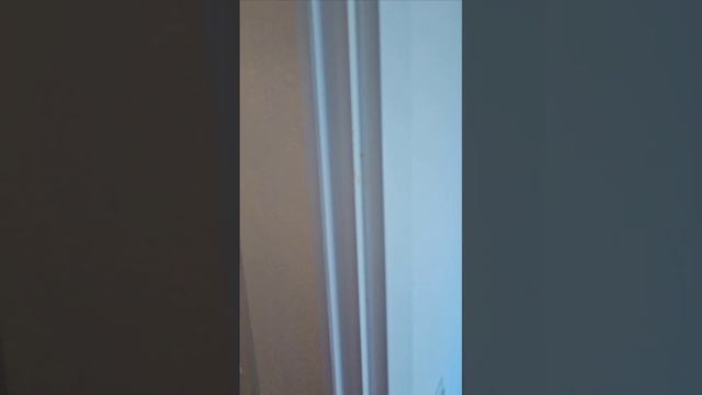 video_2025-05-23_02-11-49