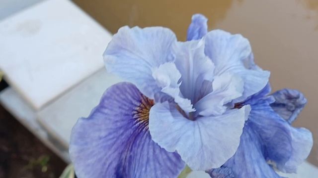20240629_205043 (online-video-cutter.com)