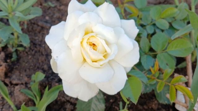 20240702_202517 (online-video-cutter.com)