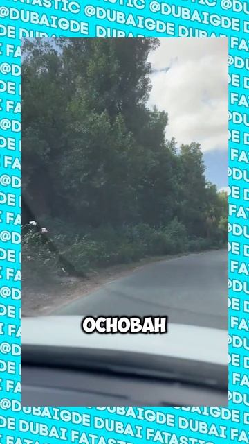 Дубай это только про высотки #shorts
