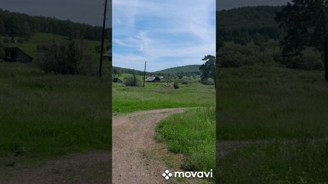 поездка в деревню
