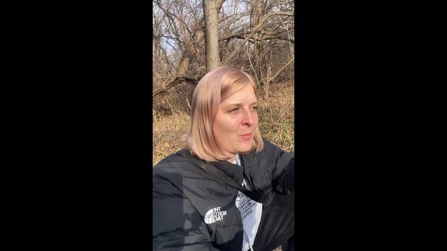 Ещё раз «О породе американский булли» агрессия , зооаг