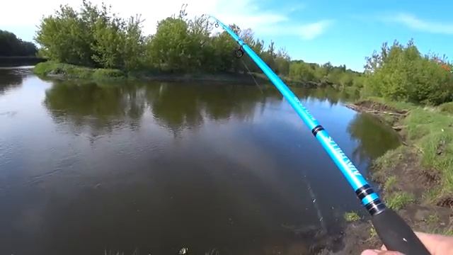 РЫБАЛКА НА ДОНКИ КРОКОДИЛ! Спокойная рыбалка на обрывистом берегу в красивом мес