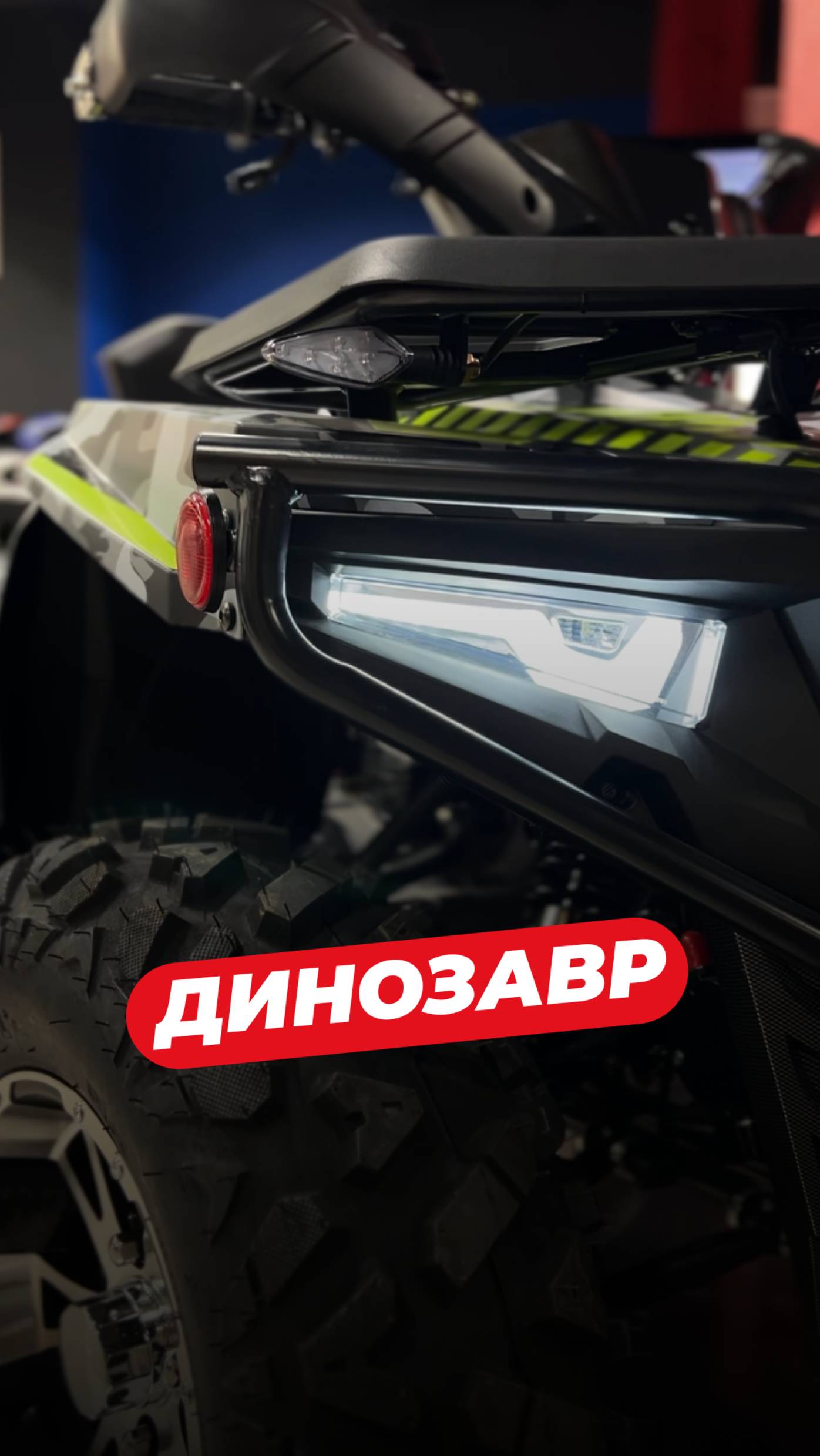 Это не просто зверь, это динозавр! 🦖