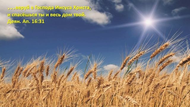 15.05.2025г. Запись прямого эфира "СЕРДЕЧНАЯ МОЛИТВА" провела Ольга Дмитриевна.