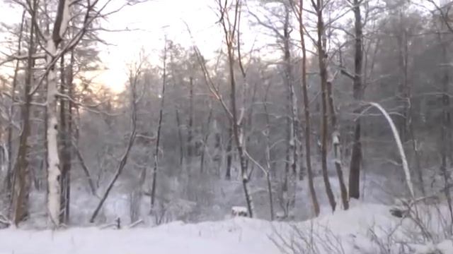 Зимние пейзажи