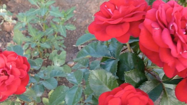 20240702_202319 (online-video-cutter.com)