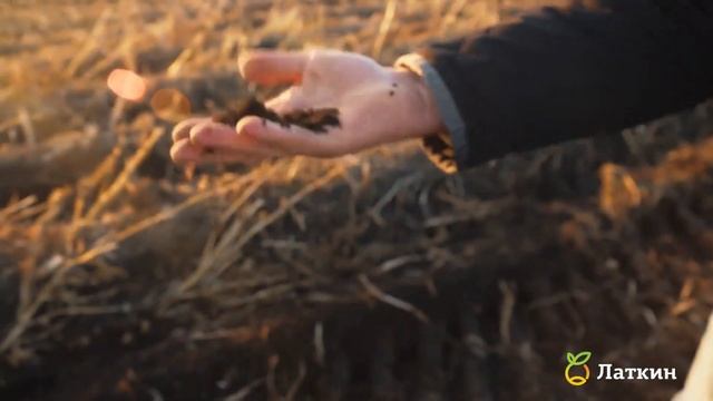 Latkin LLC: Pioneers in Sustainable Potato Production!
