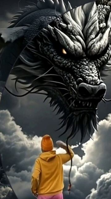 Dragon👍