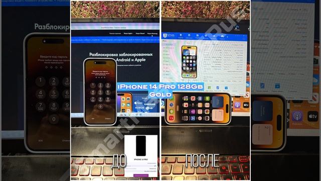 iPhone 14 Pro Разблокировка забытого пароля FMI:OFF, сброс до заводских настроек выполнен!