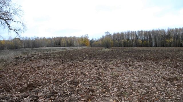 Коп монет.  По следам импортозамещения
