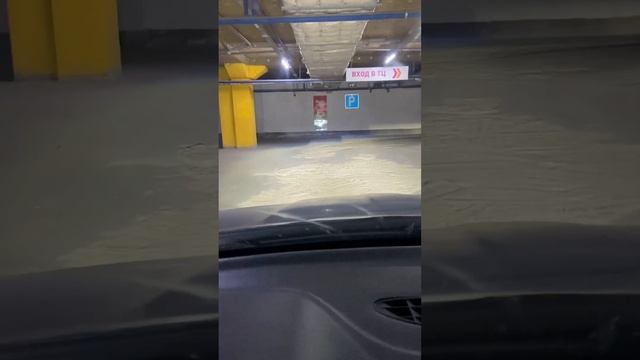 Фары октавия тур билед везде