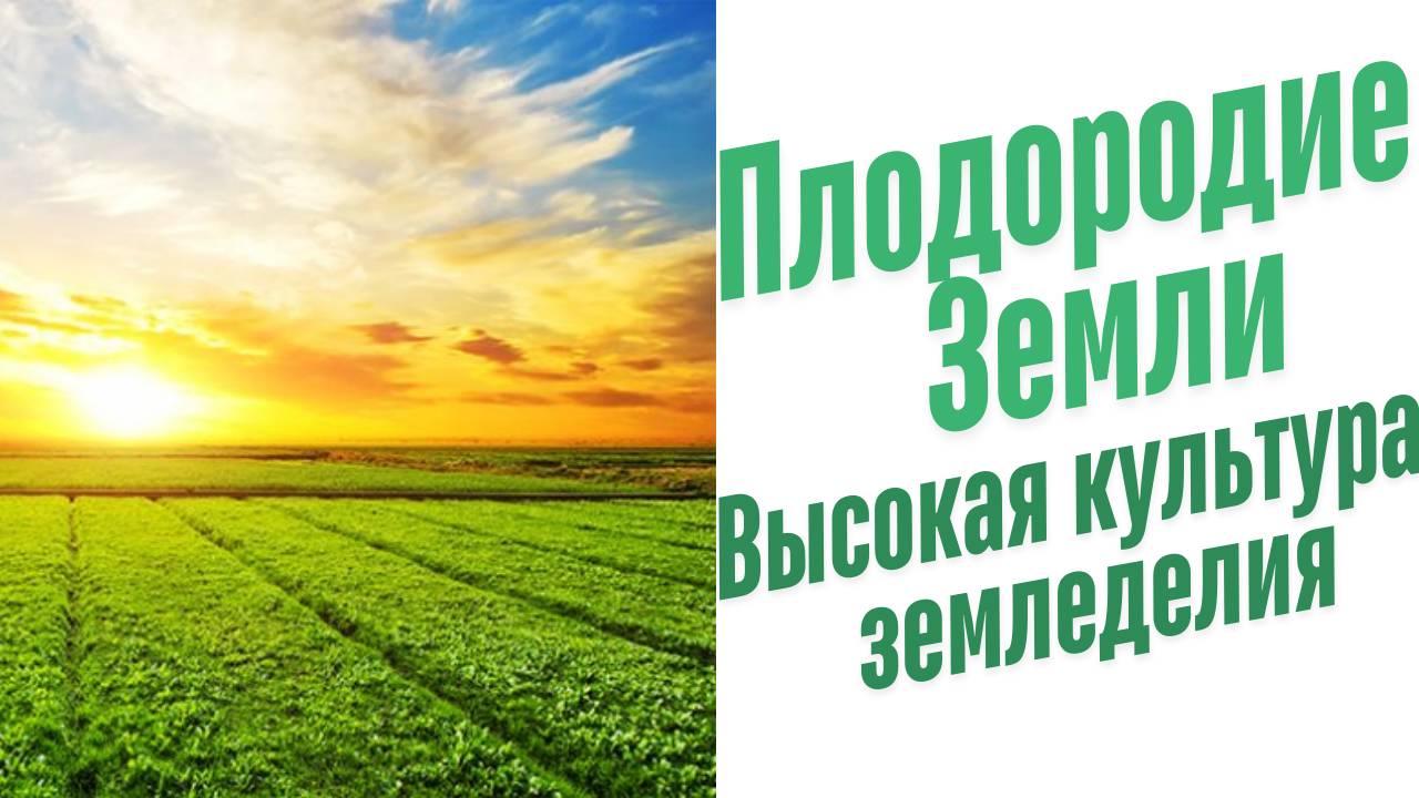 Высокая культура земледелия.