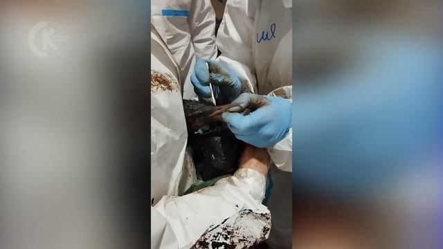 Катастрофе в Анапе. Интервью с волонтером Диной Хитро?