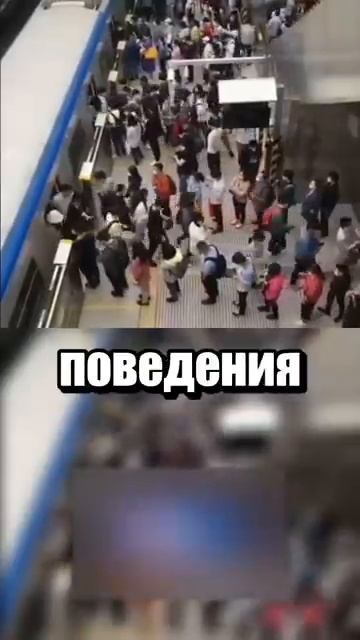 i11ushenka (176)