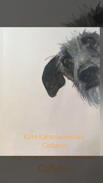Катя Капельникова "Собаки"