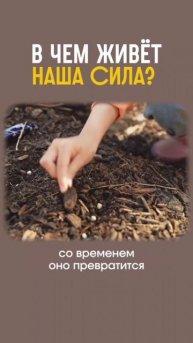 В чём наша сила?