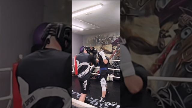 бокс 🥊 спарринги в Пересвет Реутов