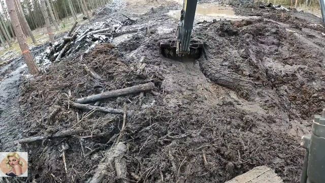 Строительство, лесная дорога продолжение