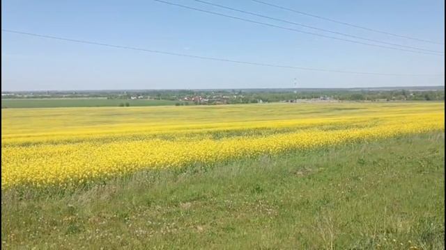 Доброе утро хорошего дня