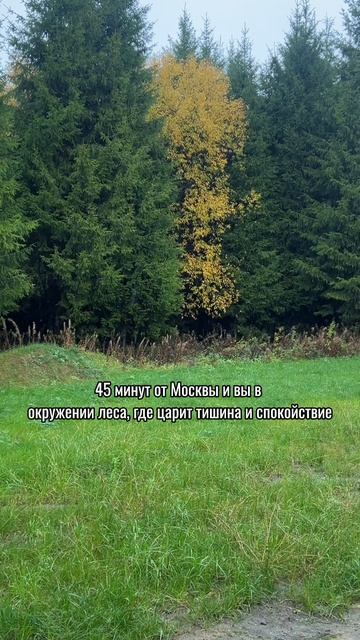 Всего в 45 минут от Москвы и вы в окружении леса, где царит тишина и спокойствие