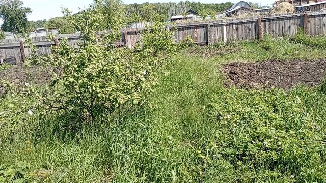 приехали из германии и сделали ее нищей...погостили..