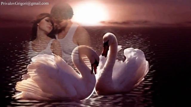 VID-20250521-WA0053.mp4