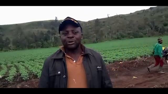 Potato Revolution in Santa, Cameroon: Join Us in Empowering Farmers and Displaced Communities