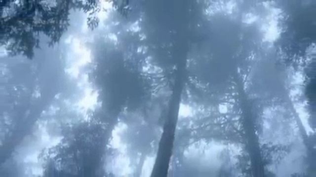 жила-была одна семья