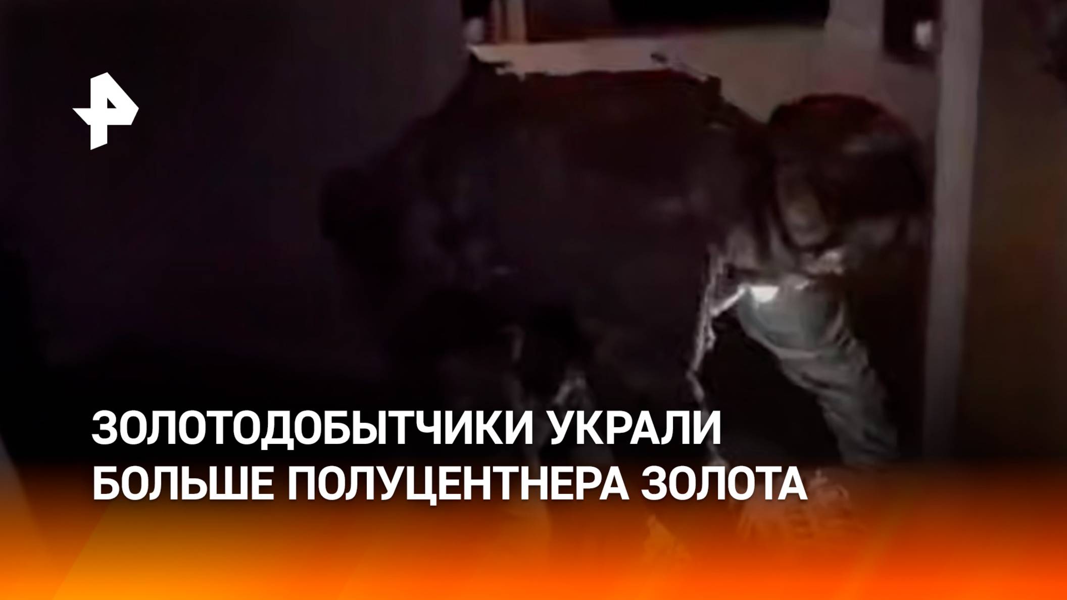 50 кг золота ценой почти 434 млн рублей — ограбление года предотвратили в Красноярском крае / РЕН