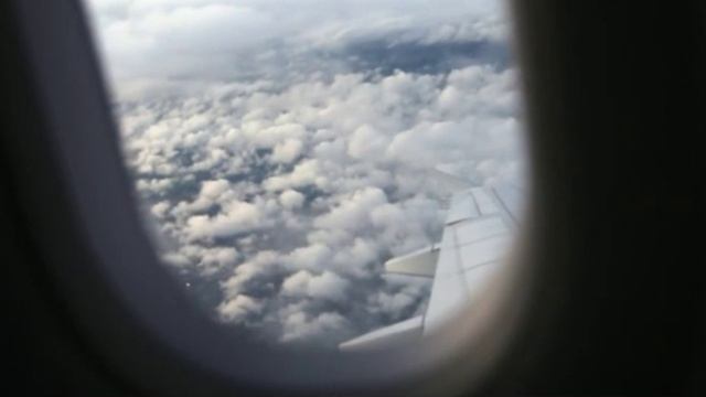 Какой САМОЛЕТ летит как птица в небе. Авиаперелет и вид из окна самолета.