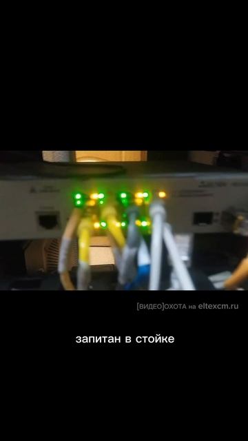 Коммутатор доступа MES2408 Eltex. Видео[Охота] на eltexcm.ru