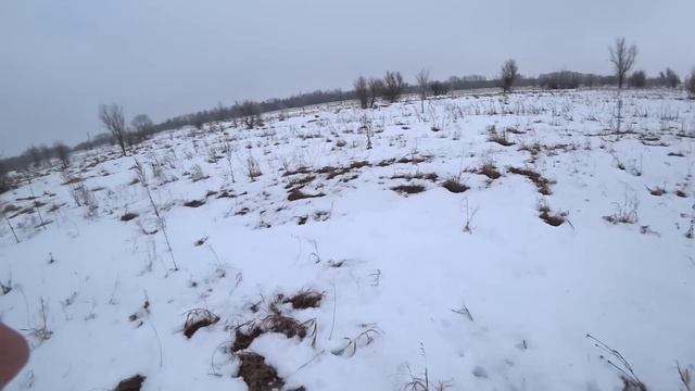 И зачем я взял её на охоту... Охота на зайца-русака 2025