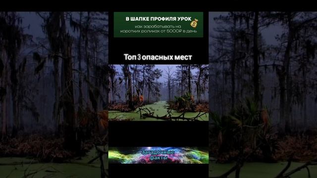 факт (11)