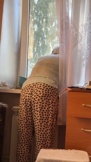Веселая жизнь нашей бабули