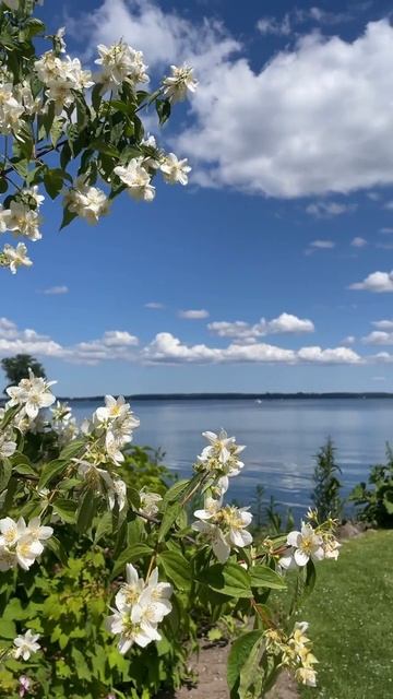 Шверинский дворец — это резиденция главы Мекленбургского дома в городе Шверин, Германия