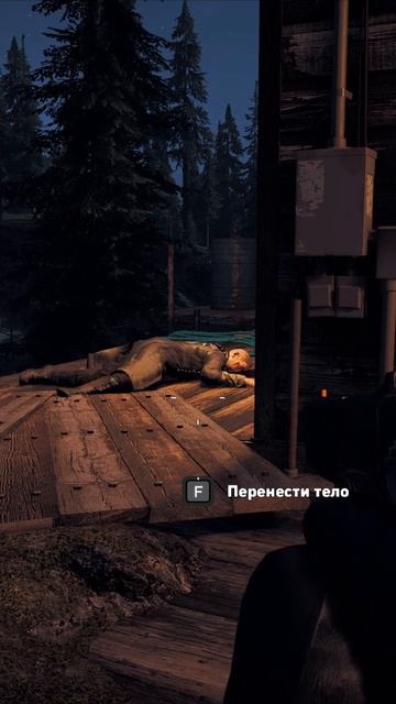 #игры с отличным сюжетом#far cry 5#шутер#игры с открытым ми