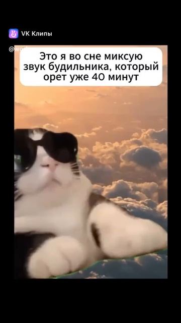Видео WhatsApp 2025-05-23 в 15.02.33_20ad98e8