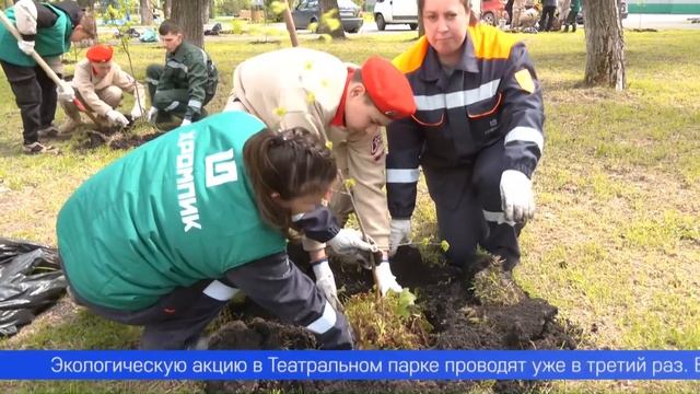 Более пятидесяти саженцев липы, рябины и кедров высадили сегодня в Театральном парке сотрудники круп