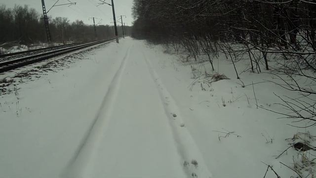 Охота на зайца 19 01 2025
