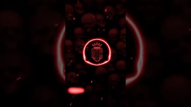 Видео WhatsApp 2025-05-19 в 20.20.54_4694a24d