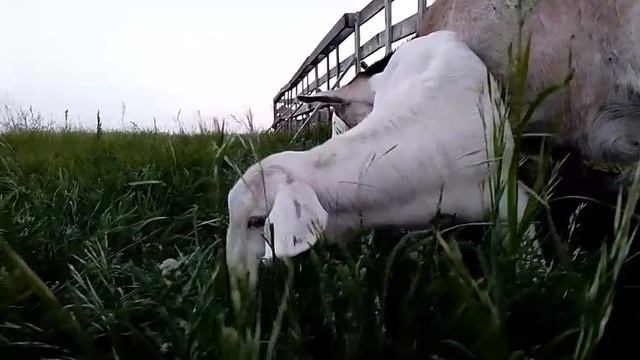 ДЛЯ ДУШИ И ПОЗИТИВА!