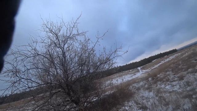 Охота на зайца с Р.Г. 2024-25г № 13