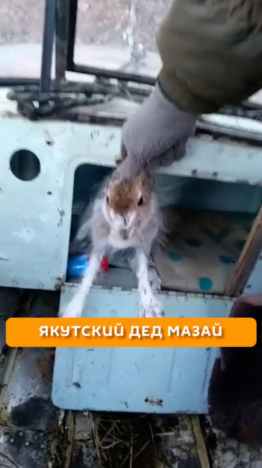 Якутский Дед Мазай