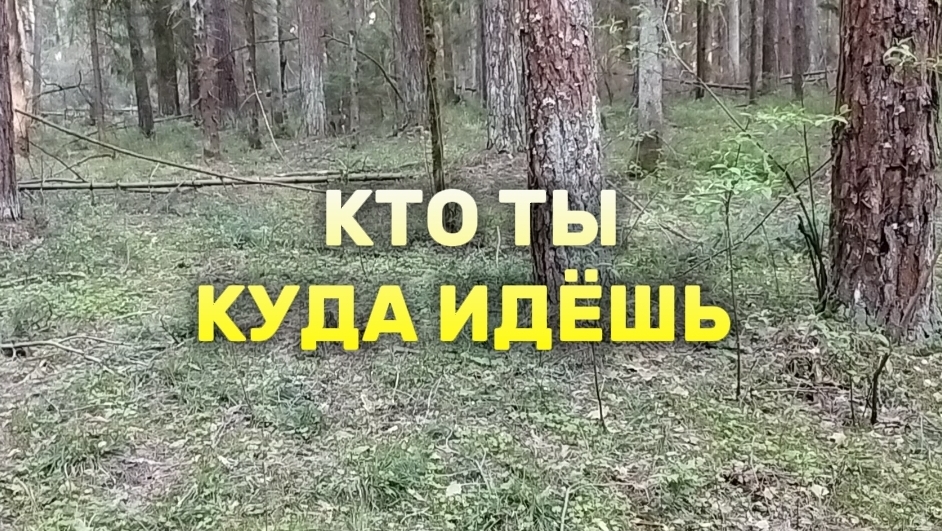 Кто ты. Куда идёшь.
